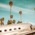 Palms & Planes I